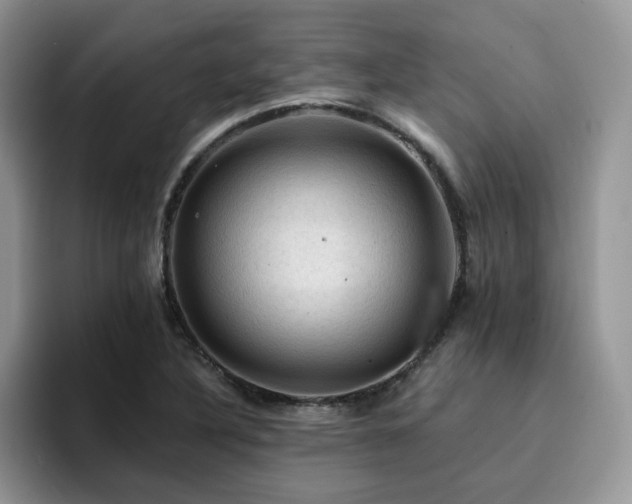X0000094941316200711291345
