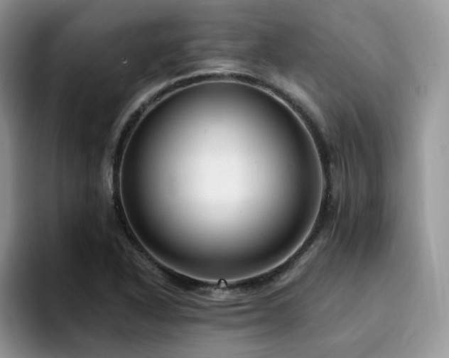 X0000094941318200711291345
