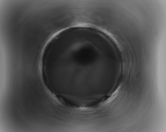 X0000094941319200711291345
