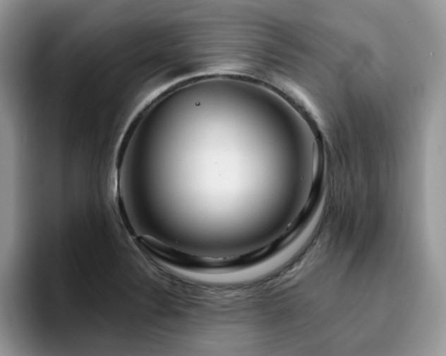 X0000094941324200711291345