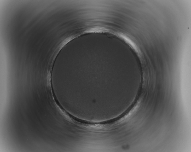 X0000094941329200711291345