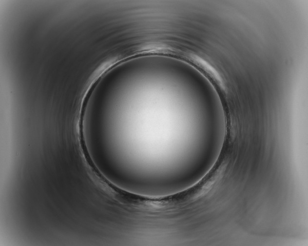 X0000094941330200711291345