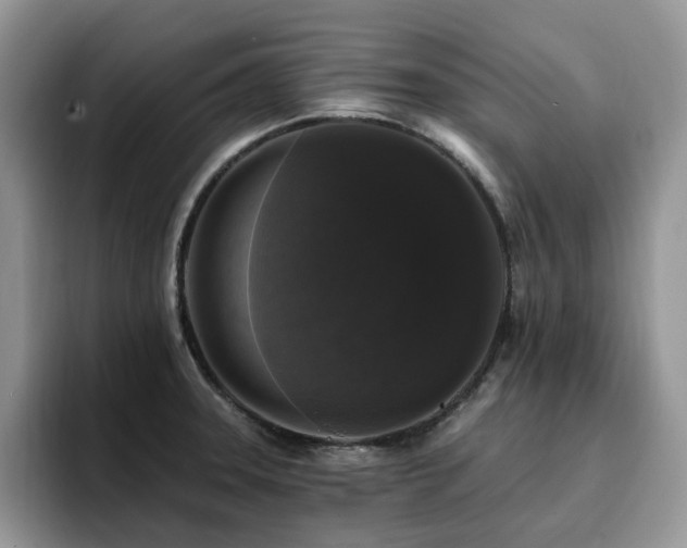 X0000094941331200711291345