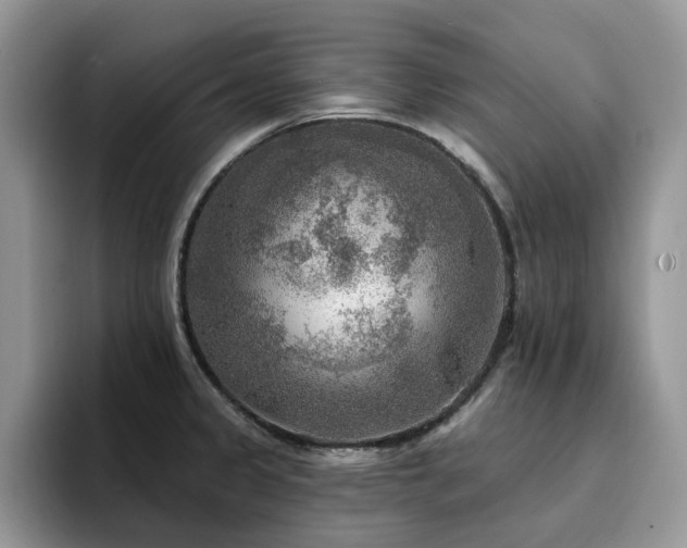 X0000094941333200711291345