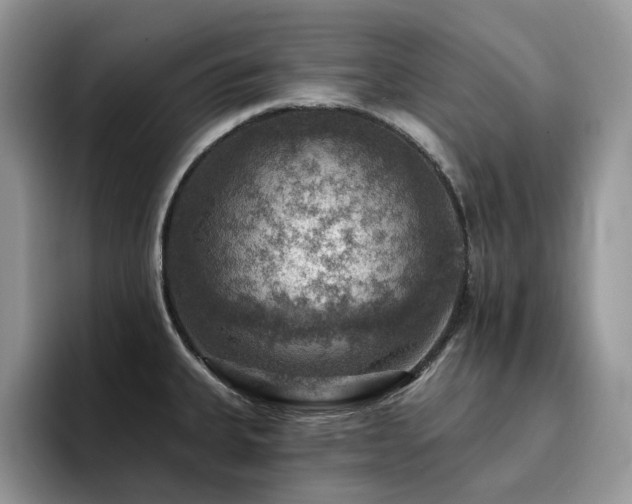 X0000094941335200711291345