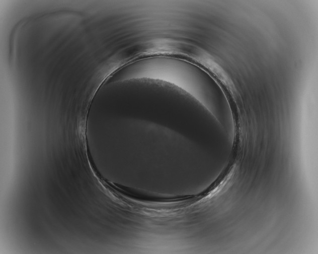 X0000094941337200711291345