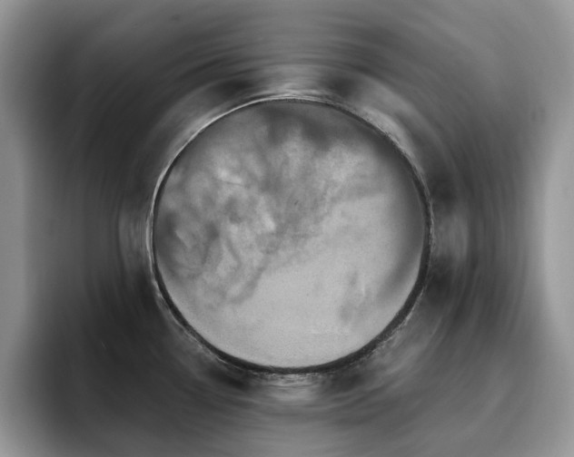 X0000094941338200711291345