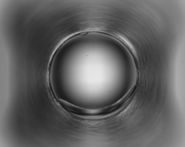 X0000094941340200711291346