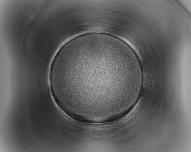 X0000094941342200711291346