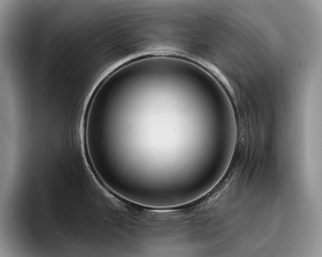 X0000094941343200711291346