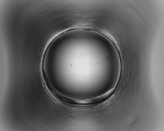 X0000094941344200711291346