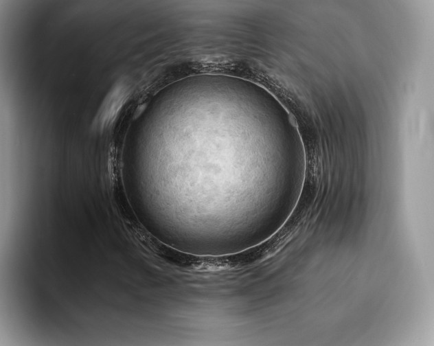 X0000094941346200711291345