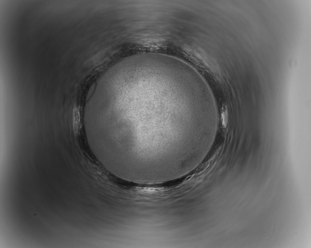 X0000094941347200711291345