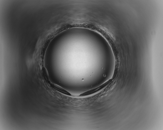 X0000094941350200711291345
