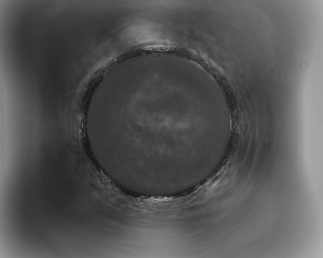 X0000094941351200711291345