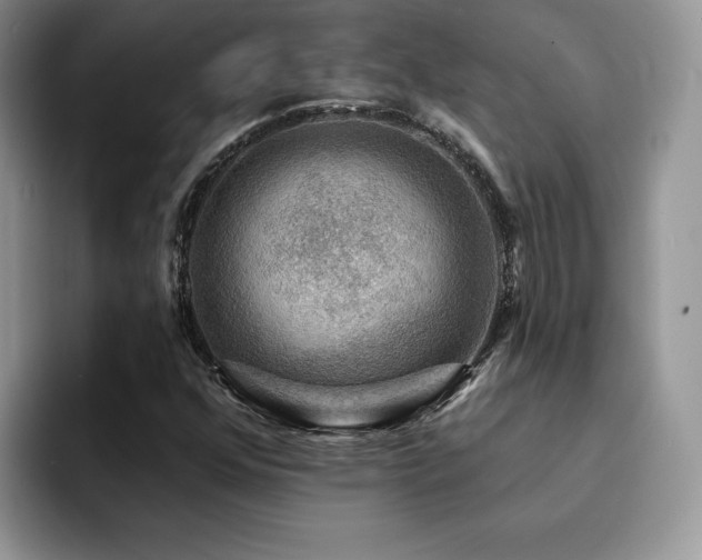 X0000094941352200711291345