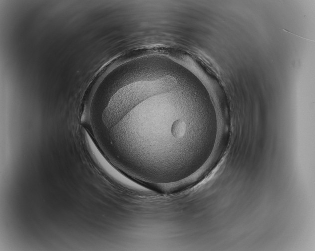 X0000094941353200711291345