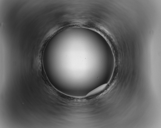 X0000094941354200711291345