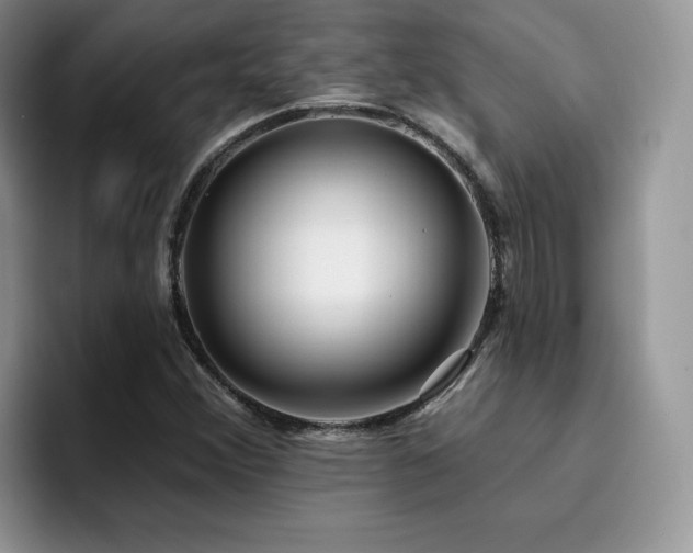 X0000094941356200711291345