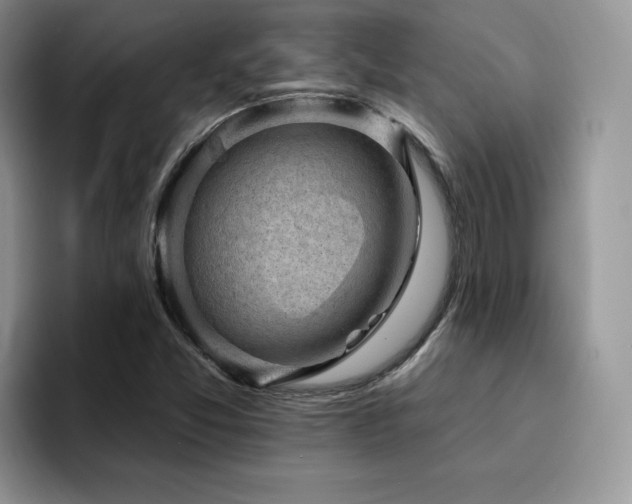 X0000094941357200711291345