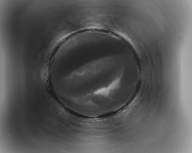 X0000094941359200711291345