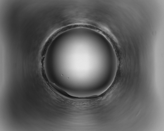 X0000094941360200711291345