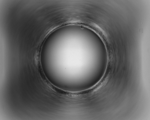 X0000094941361200711291345