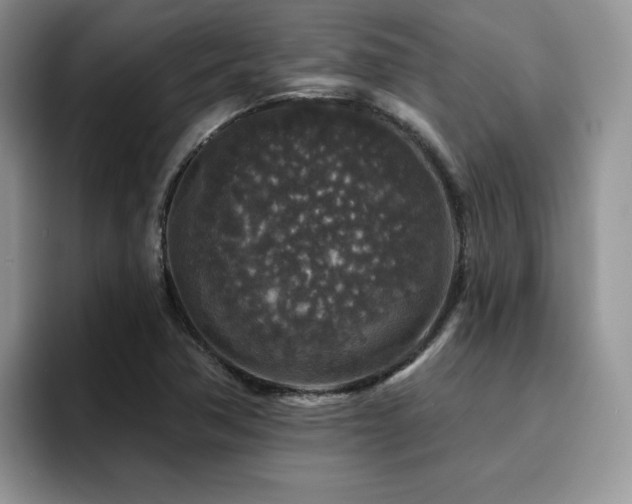 X0000094941362200711291345