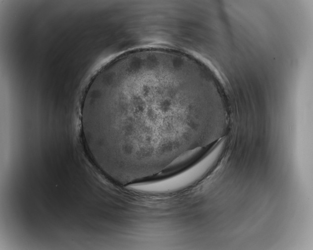 X0000094941363200711291345