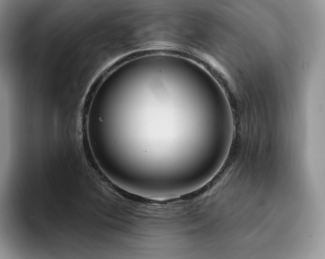 X0000094941364200711291345