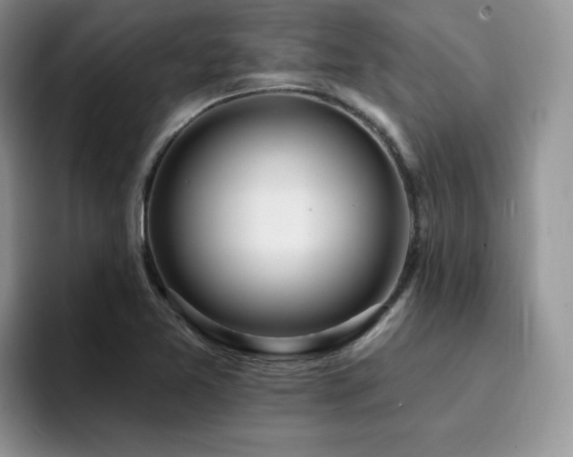 X0000094941365200711291345