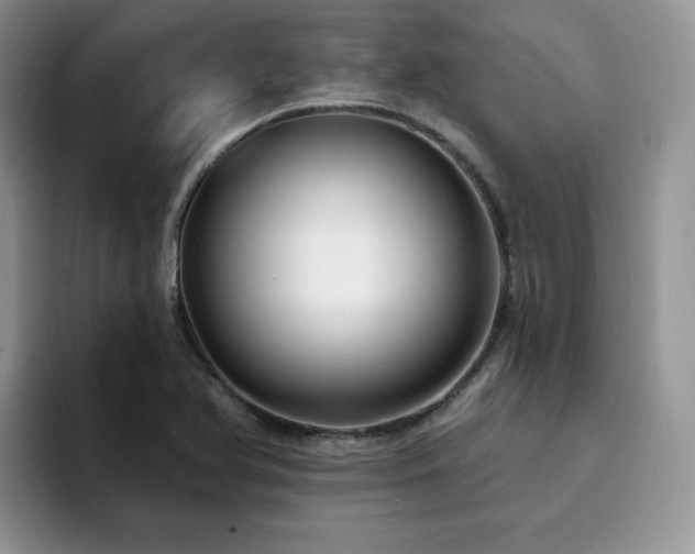 X0000094941366200711291345