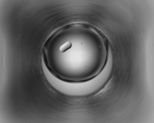 X0000094941369200711291345