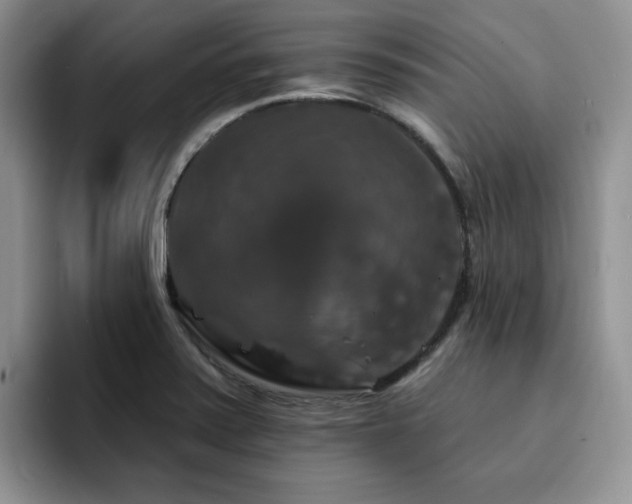 X0000094941371200711291345