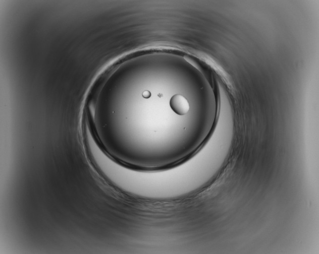 X0000094941372200711291345