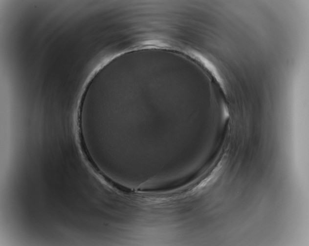 X0000094941373200711291345