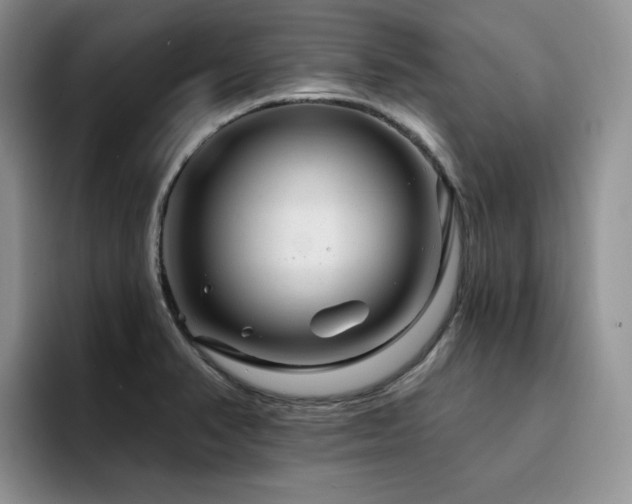 X0000094941374200711291345