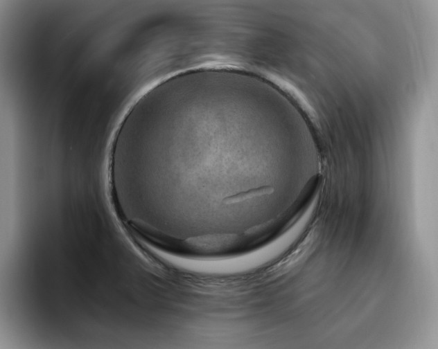 X0000094941375200711291345