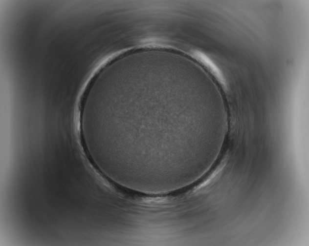 X0000094941376200711291345
