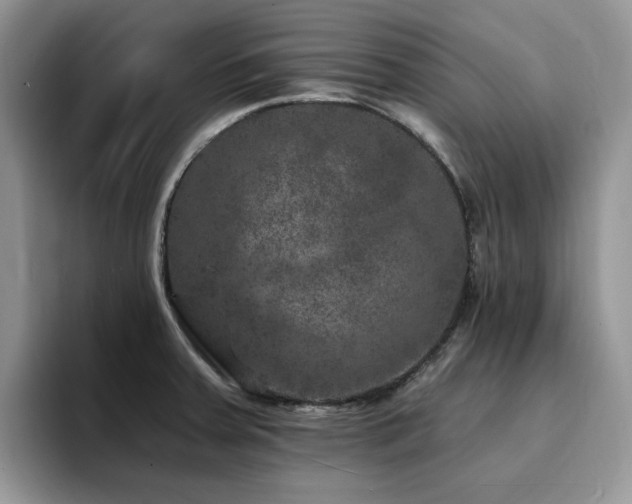 X0000094941379200711291344