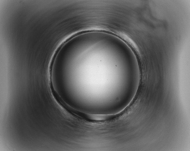 X0000094941380200711291344