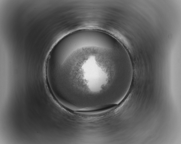 X0000094941382200711291344