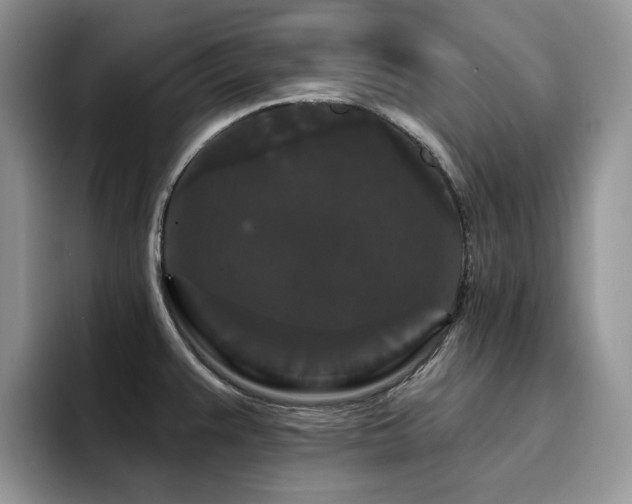 X0000094941383200711291344