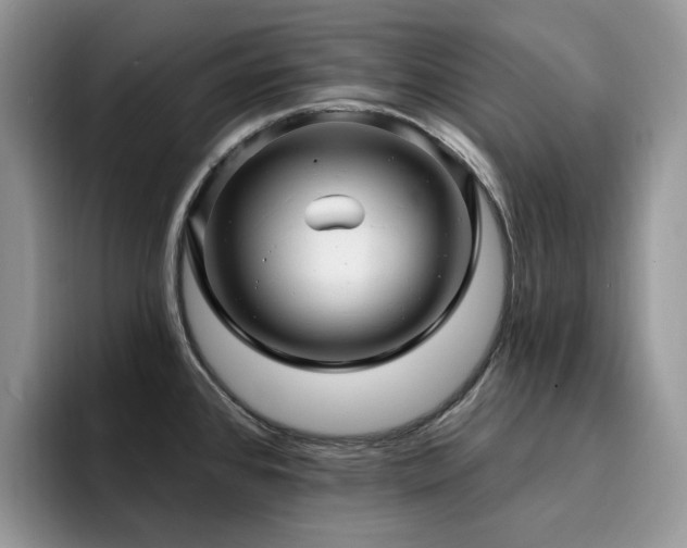 X0000094941384200711291344