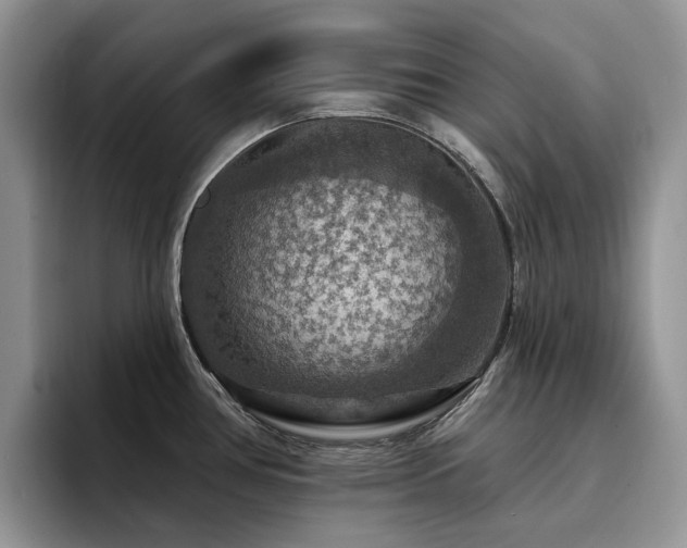 X0000094941386200711291344
