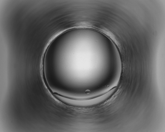 X0000094941387200711291344
