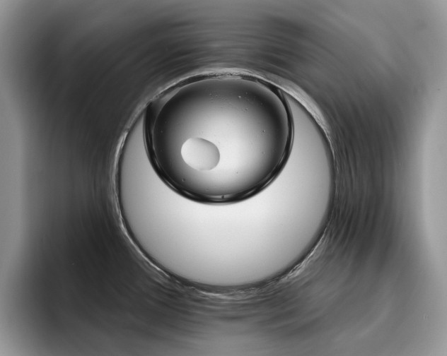 X0000094941388200711291344