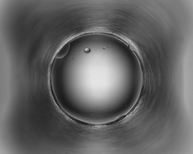 X0000094941390200711291344