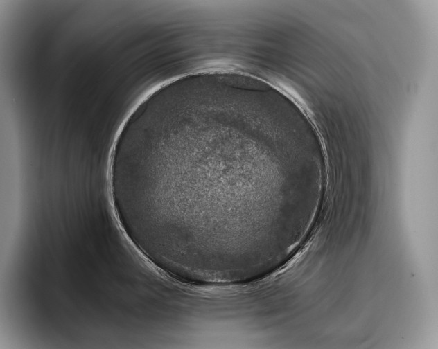 X0000094941392200711291344