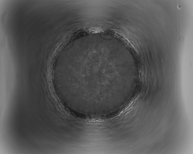 X0000094941393200711291344